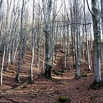 Podere Bramapane Montelungo Superiore
