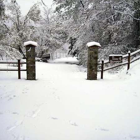 Holiday home Podere Bramapane *