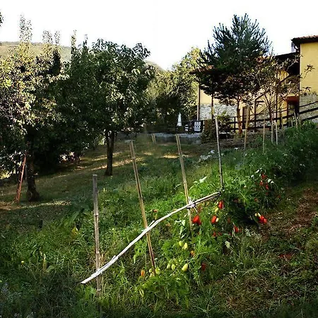 Podere Bramapane Montelungo Superiore