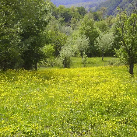 Tatil Evi Podere Bramapane Montelungo Superiore
