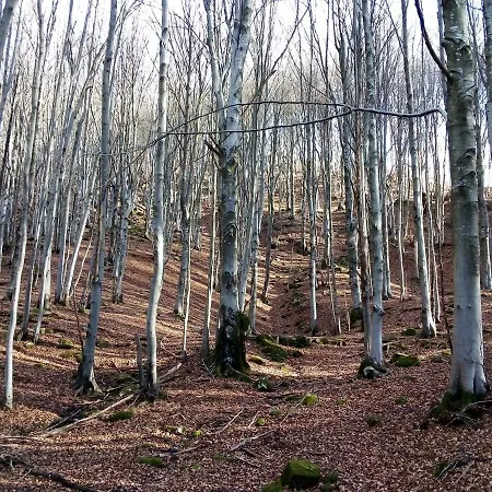 Podere Bramapane Montelungo Superiore